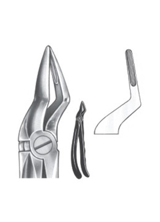 Extracting Forceps - English Pattern