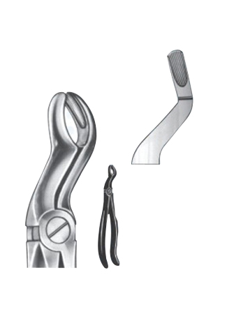 Extracting Forceps - English Pattern