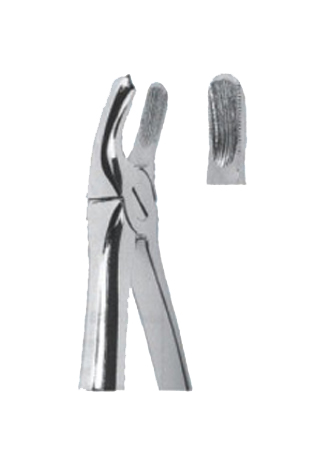 Extracting Forceps - English Pattern