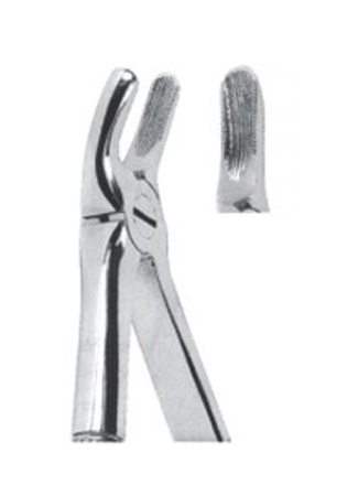 Extracting Forceps - English Pattern