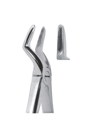 Extracting Forceps - English Pattern