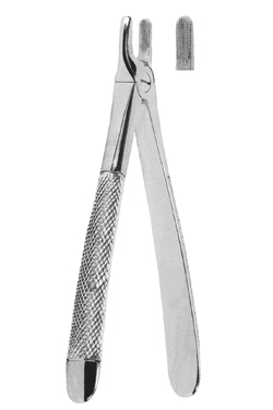 Extracting Forceps For Children - English Pattern