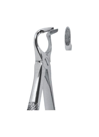 Extracting Forceps - English Pattern