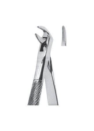 Extracting Forceps - English Pattern