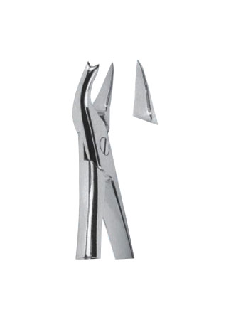 Extracting Forceps - English Pattern