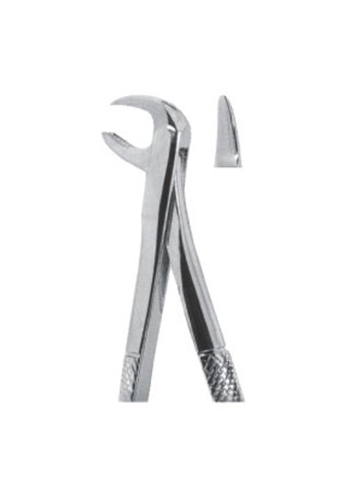 Extracting Forceps - English Pattern