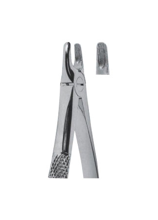 Extracting Forceps - English Pattern