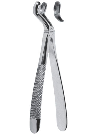 Extracting Forceps - English Pattern