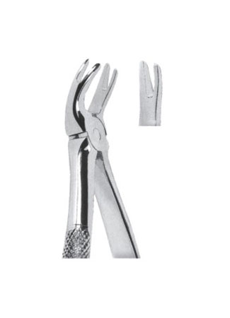 Extracting Forceps - English Pattern