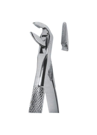 Extracting Forceps - English Pattern
